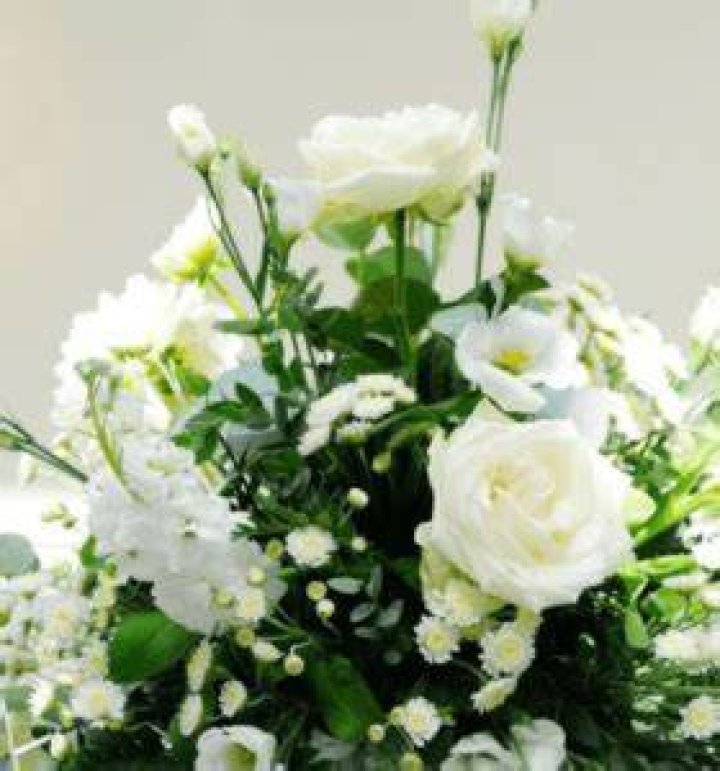Chase Hayes Death And Obituary How Did He Died?What had happened to
