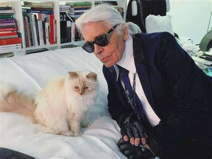 Choupette, Karl Lagerfeld&rsquo;s Cat, Has a Million Reasons to Purr The