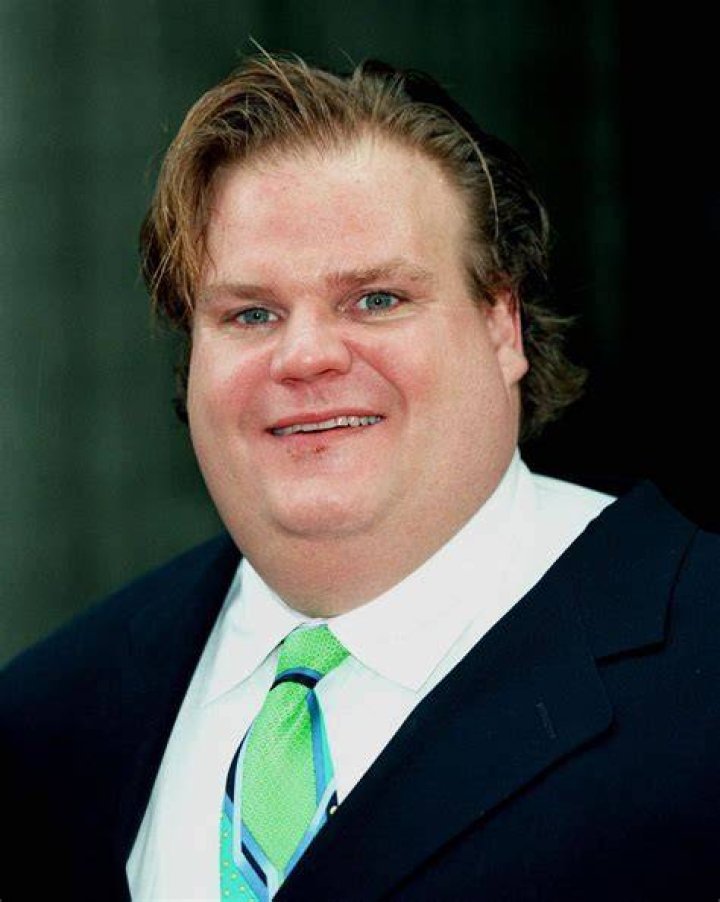Chris Farley's Wife: A Testament To Love And Resilience