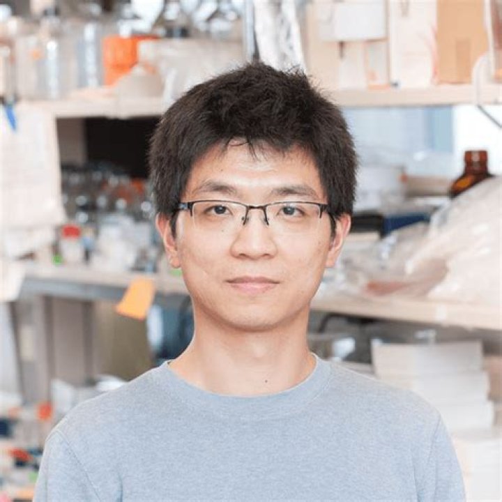Chun Chou, PhD Cancer Research Institute