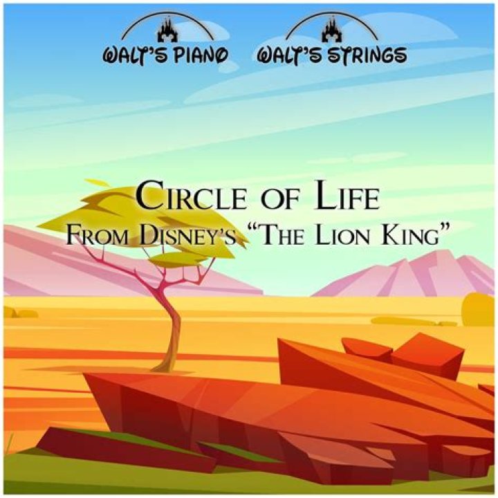 Circle of Life (From Disney's "The Lion King) Violin Cover - Taylor Davis - violin cover rock songs