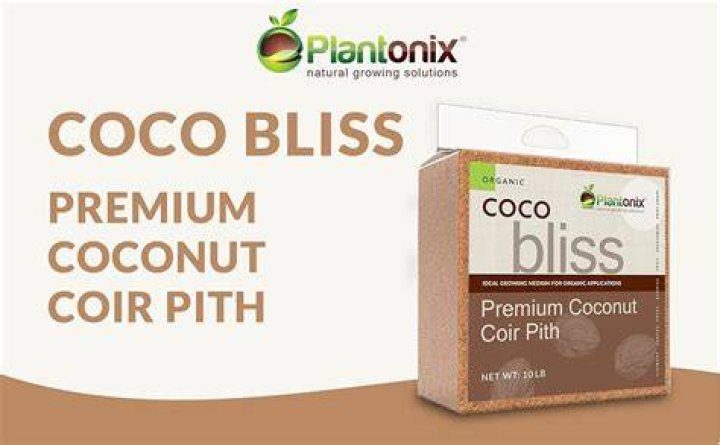 CoCo Bliss 🦋