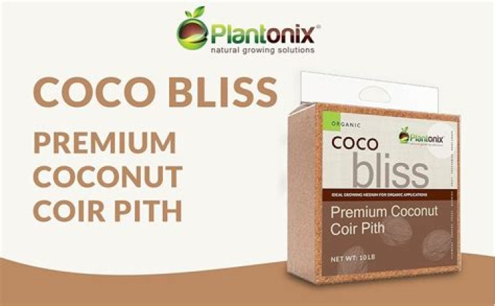 Coco Bliss leaked video, Coco Bliss onlyfans leaked video UsaViral