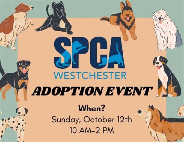 Contact Us SPCA Westchester, New York