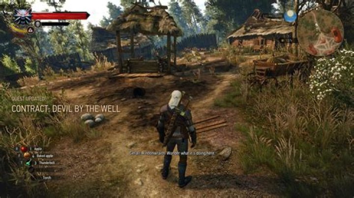 Contract: Devil by the Well, Witcher 3: Wild Hunt Quest ·