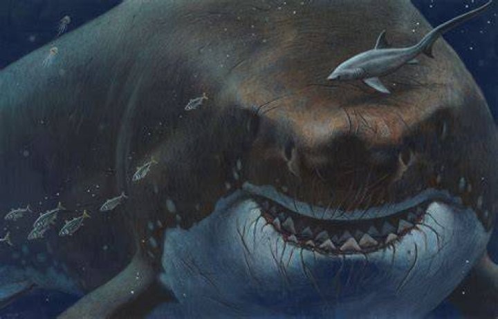 Could an ancient megashark still lurk in the deep seas?
