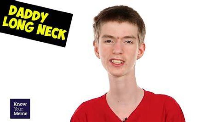 Daddy Long Neck Personality) Wiki