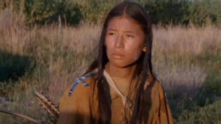 Dances With Wolves star Nathan Chasing Horse arrested on suspicion of