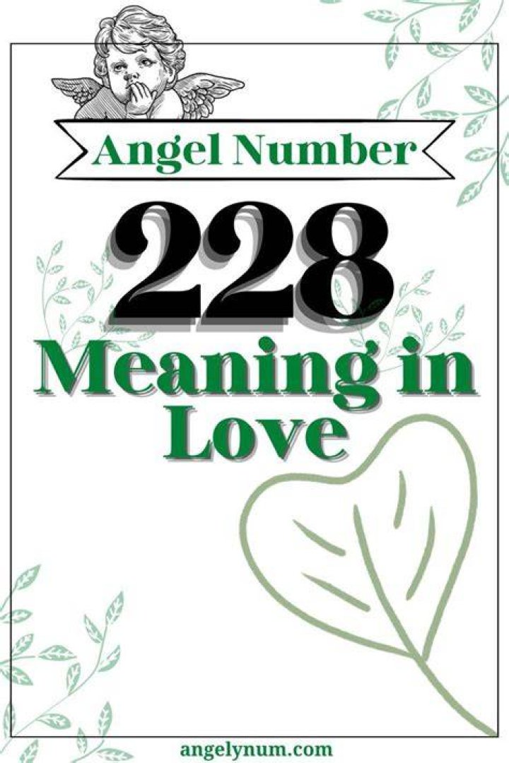 DashJ | Angel Number 228