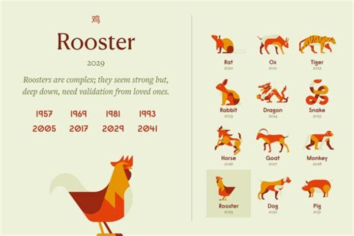 DashJ | The Rooster Spirit Animal