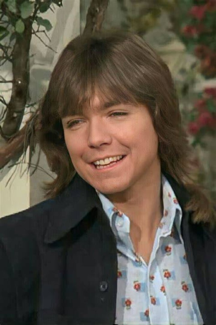 David Cassidy David cassidy, Heartthrob, Shirley jones