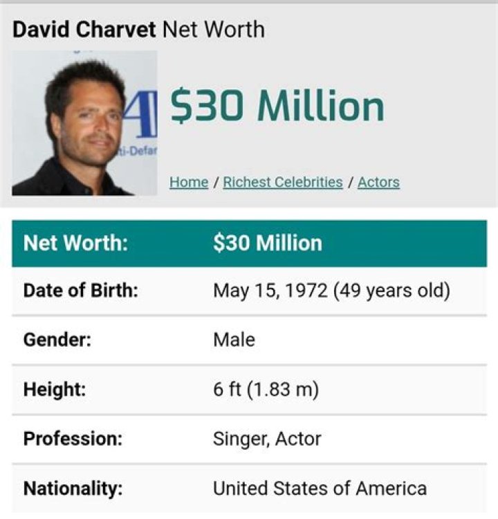 David Charvet Net Worth |