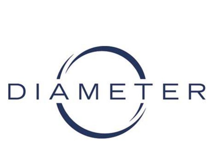 Diameter Capital Partners LP (New York) |