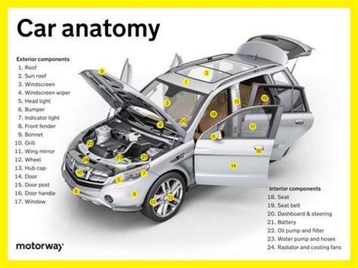 Discover The Ultimate Guide To Vehicle Parts In Florence, Alabama