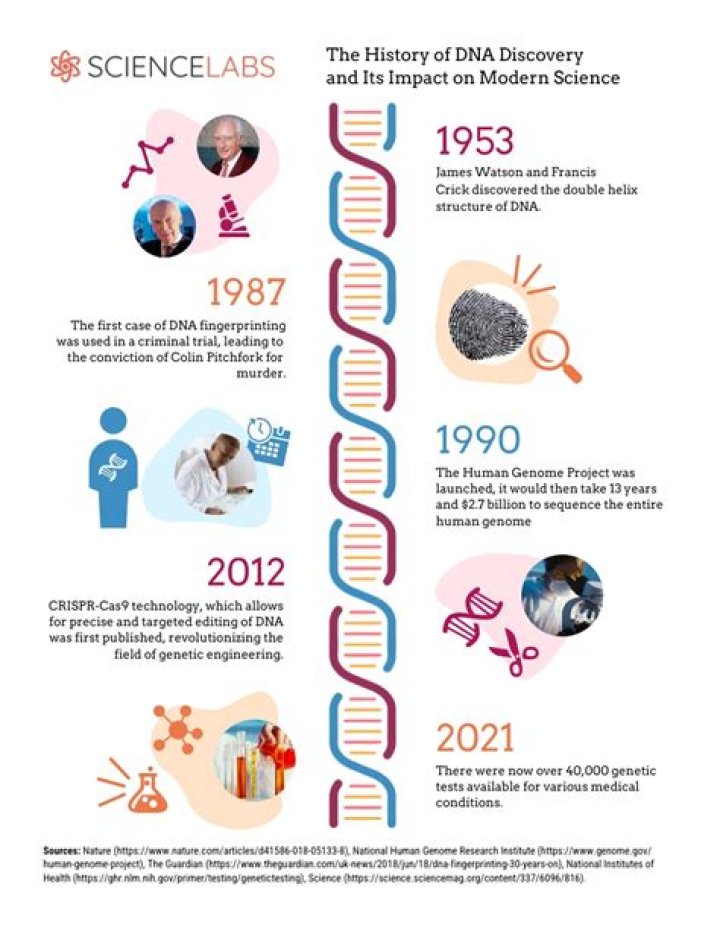 Discoveries And Insights At Death