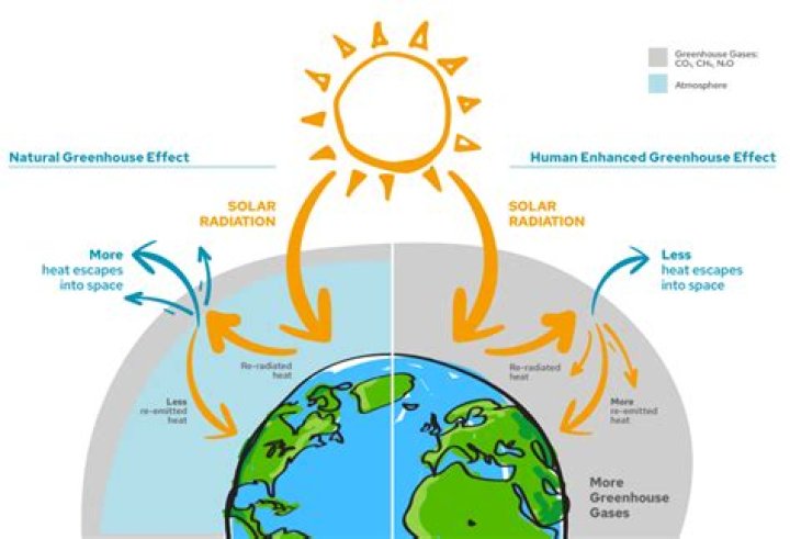Discoveries And Insights For Enhanced Well-being