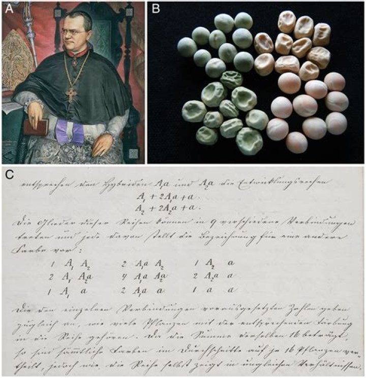Discoveries And Insights From Randy Gwathney Wiki
