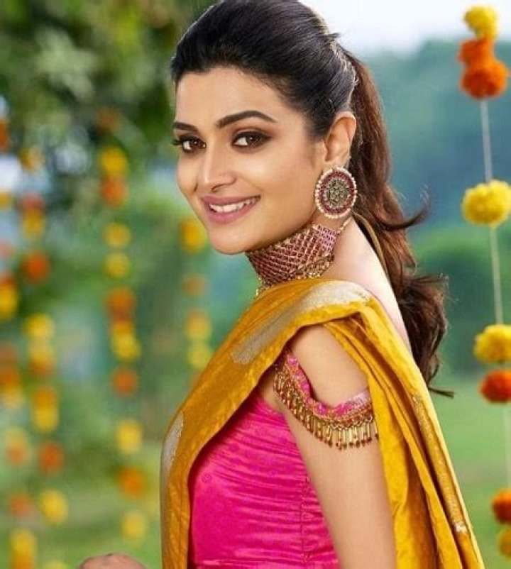 Divya Pillai Relationships, Wikipedia, Marital Status, Feet, Navel
