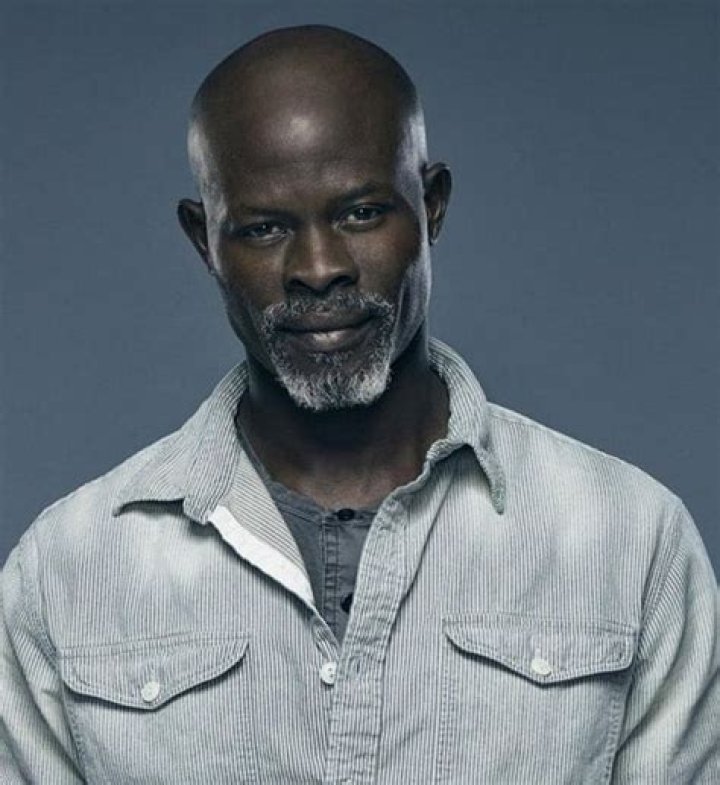 Djimon Hounsou Age, Net Worth, Height, Affair, Career, and More
