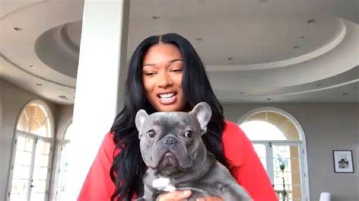 Does Megan Thee Stallion Have Any Siblings?