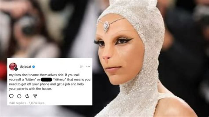 Doja Cat Wig Meme