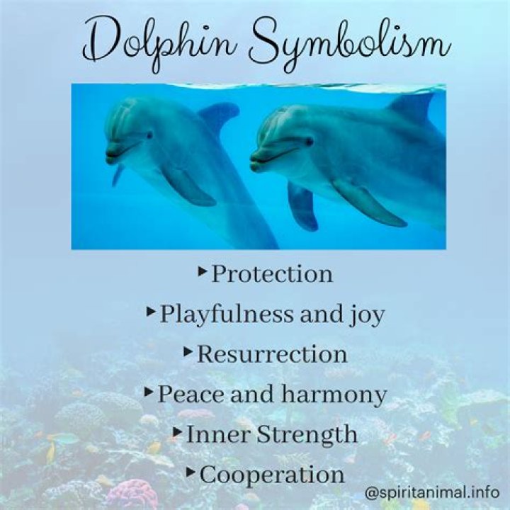 Dolphin Spirit Animal