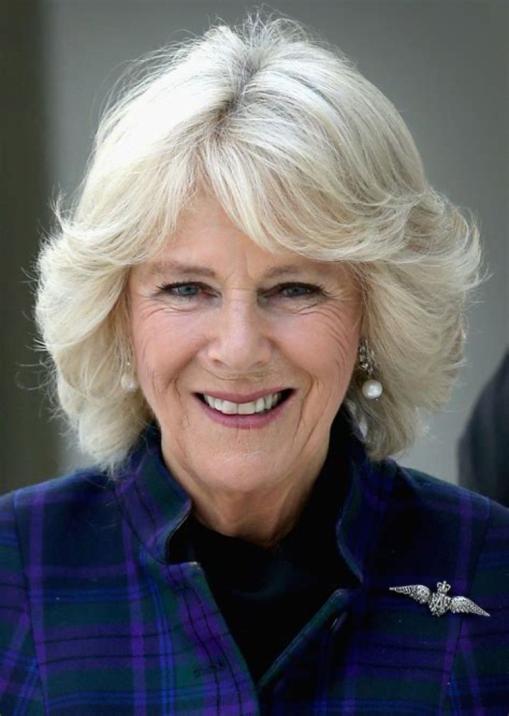 Duchess Camilla bio Britain's next queen consort helped 'save' the
