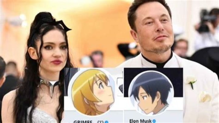 Elon Musk And Grimes Twitter Profile Picture