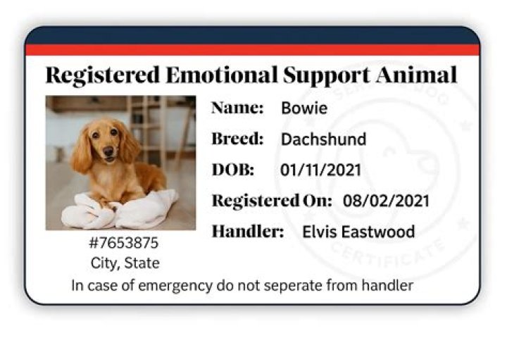 Emotional Support, Iktiar-2024