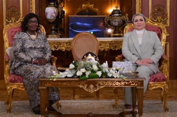 Entissar Amer (First Lady of Egypt) Bio with [ Photos Videos ]