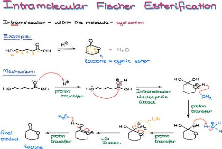 Esterifikasi Fischer dan Esterifikasi Steglich dalam IPA, pengertian