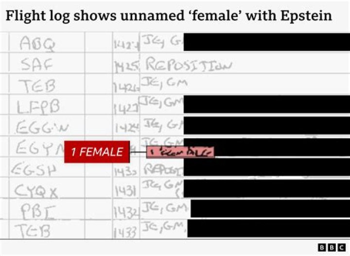 Exploring The Epstein Flight Logs