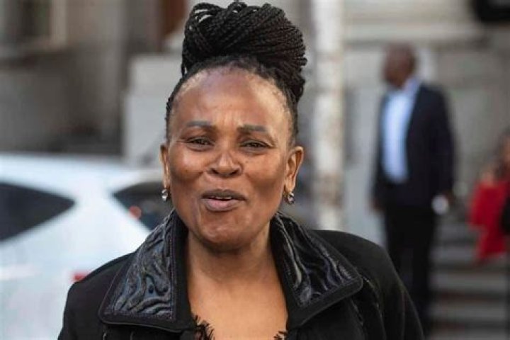 Exploring The Net Worth Income Of Busisiwe Irvin