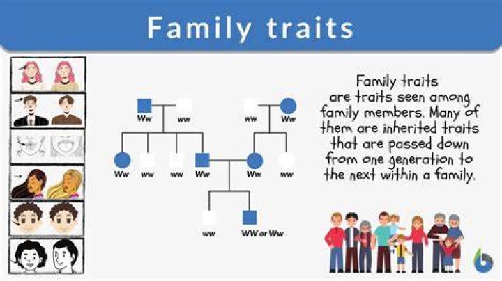 Family, Relationships, And Physical Traits