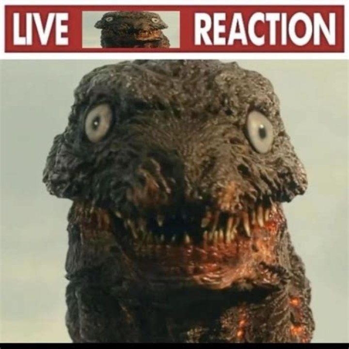 Fan Reaction, Raccoon-cooper