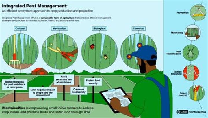 Flea Pest Chemical Control & Insecticide Products MGK&reg;
