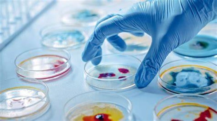 Florence Olajire Adeyemo's Pioneering Discoveries In Microbiology