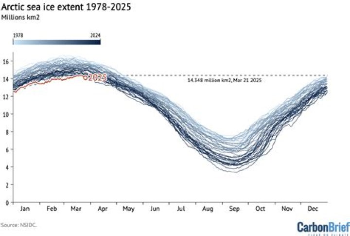 Frigid Trends Rachel Glandorf Pictures