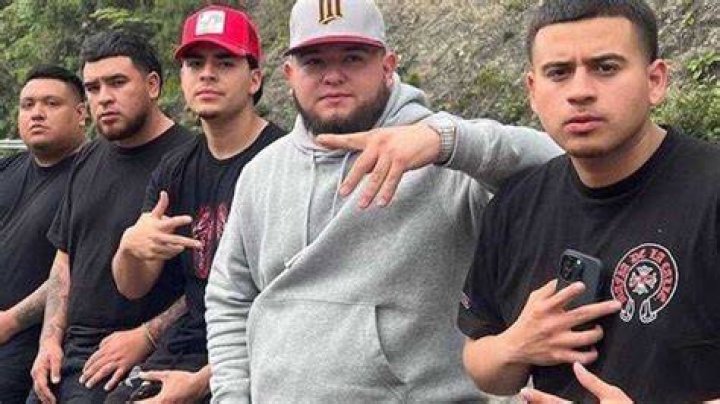 Fuerza Regida band members profiles, net worth, and best songs Tuko.co.ke
