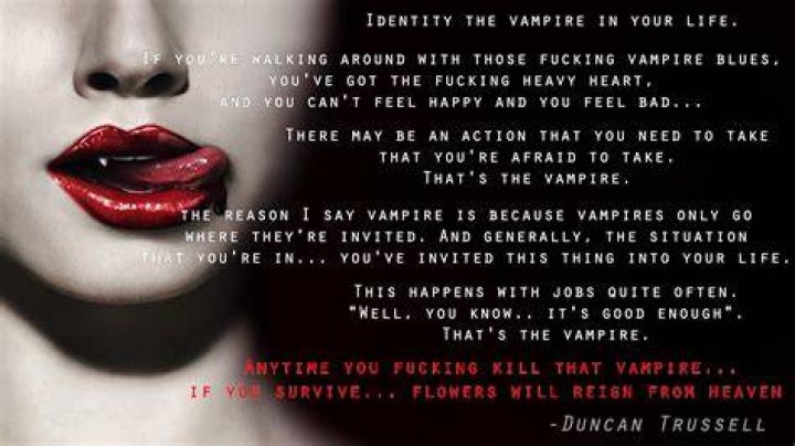 Funny Vampire Quotes And Sayings. QuotesGram