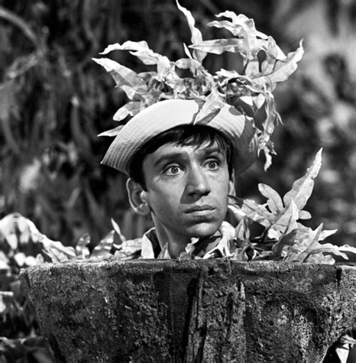 Gilligan's Island 's Ginger Looks Incredible at 84 — See New Photos of