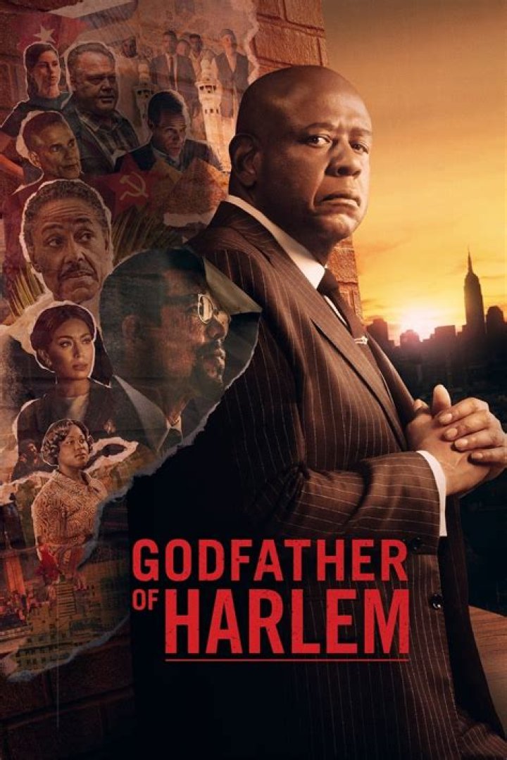Godfather of Harlem Solid and Character Information » Nerd Panda