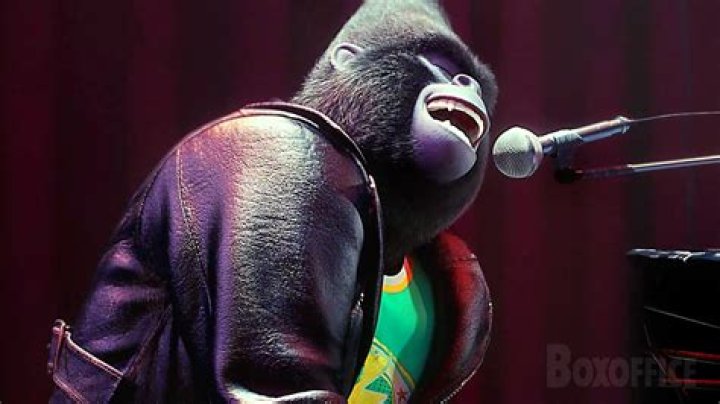 Gorilla Grip YouTube Music