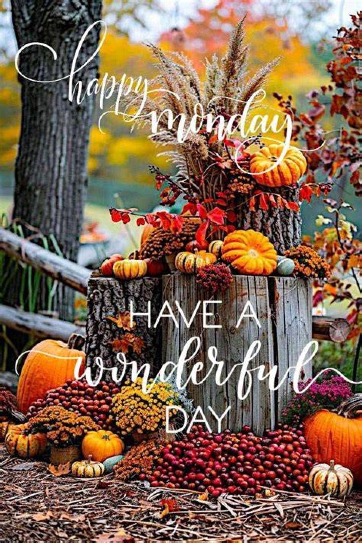 Happy Monday, Autumn, Google, Quick, Art, Art Background, Fall Season