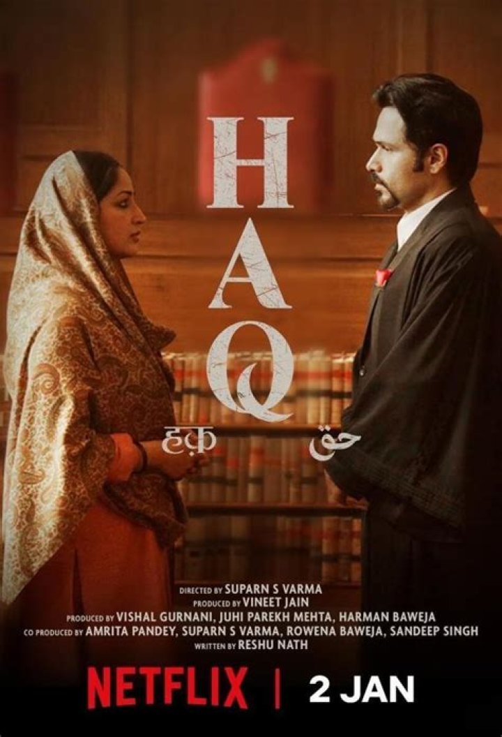 Haq's Musings Hawking Weighs in on BritishPakistani Singer Zayn Javed