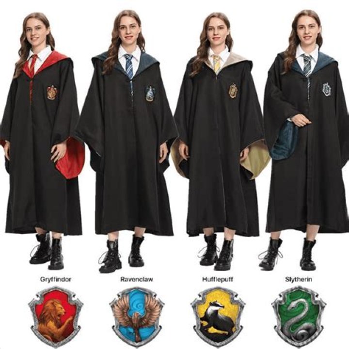 Harry Potter Characters Costumes ubicaciondepersonas.cdmx.gob.mx