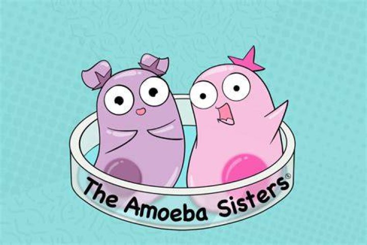 Has Amoeba Sisters Done A Face Reveal?