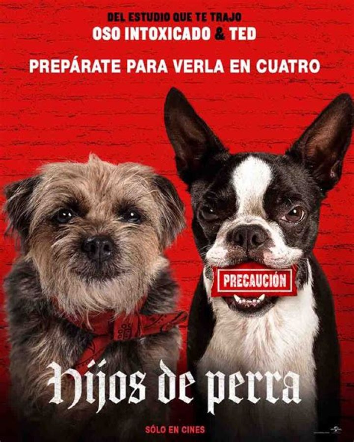 Hijos de perra Película La Cartelera