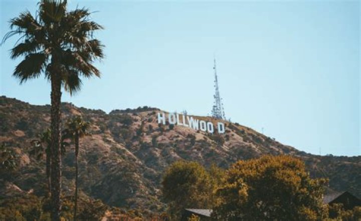 Hollywood Royalty, Raccoon-cooper