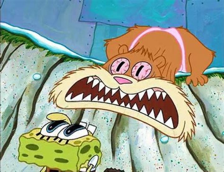 How Did Sandy Cheeks Die? Get All the Full Story